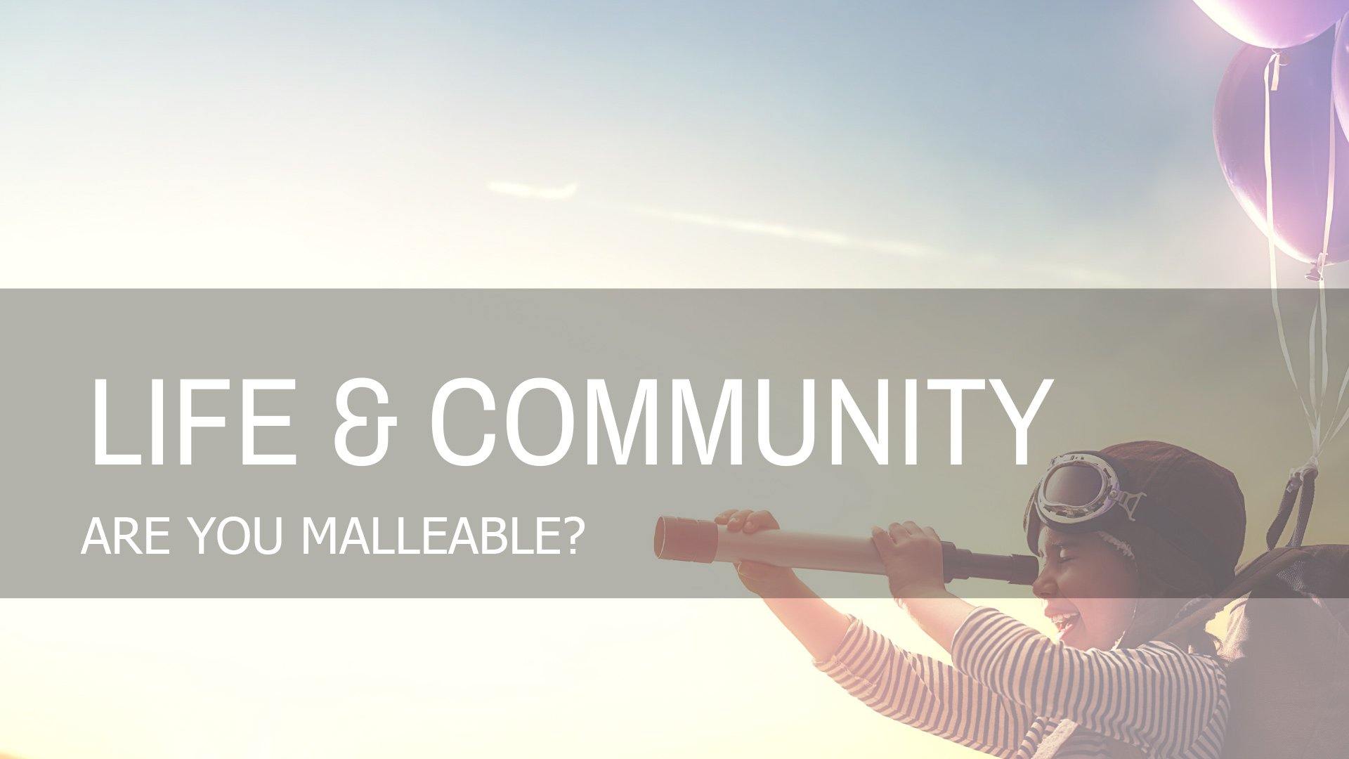 Are You Malleable?