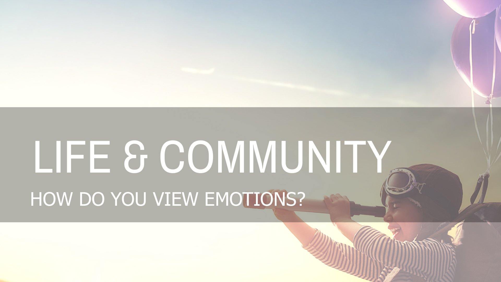 How Do You View Emotions?