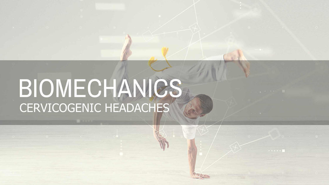 Designed to Move | Cervicogenic Headaches - Fluid Health and Fitness