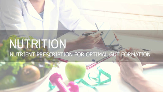 Gut Health | Nutrient Prescription for Optimal Gut Formation Through Food