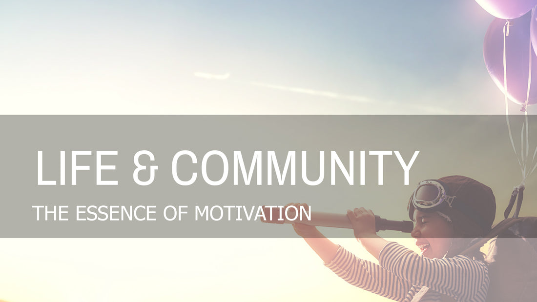 The Essence of Motivation