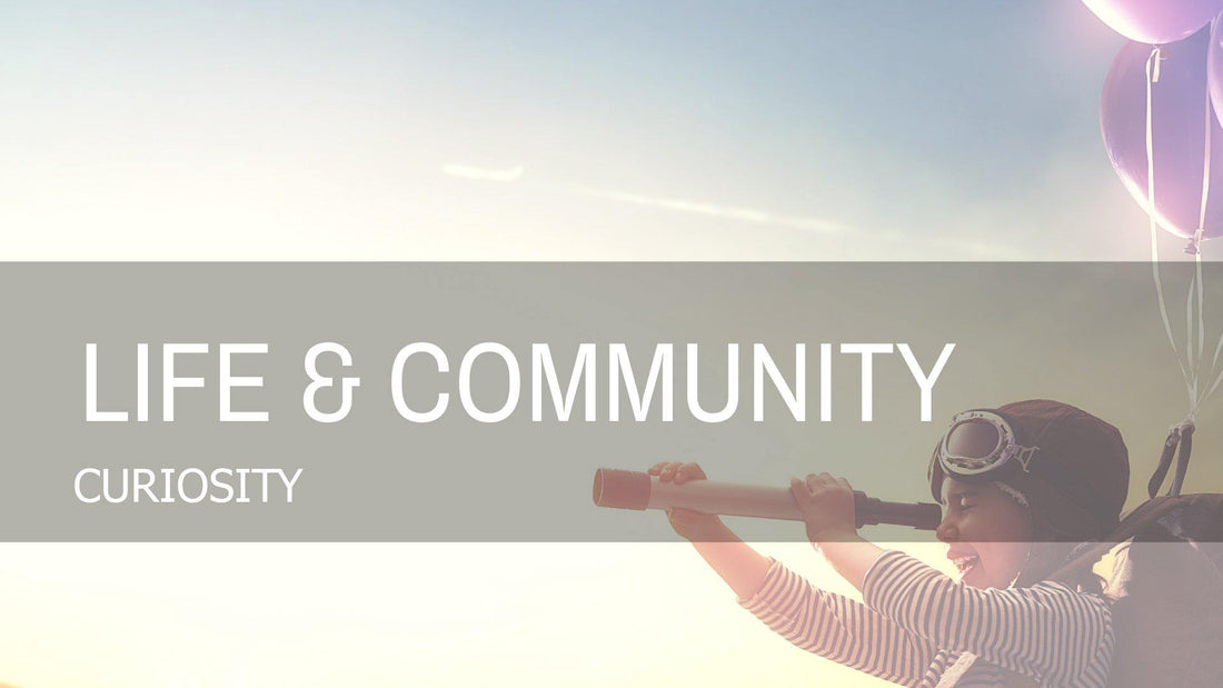 Curiosity - Fluid Health and Fitness